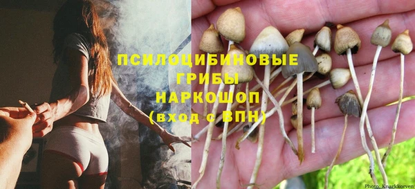спиды Балахна