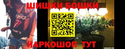 spice Дубна