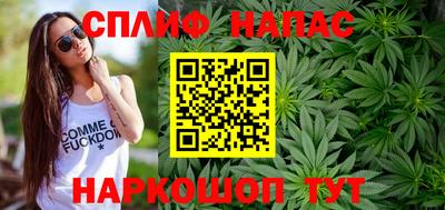 крисы Донской