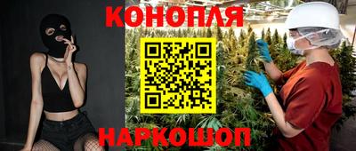 spice Дубна