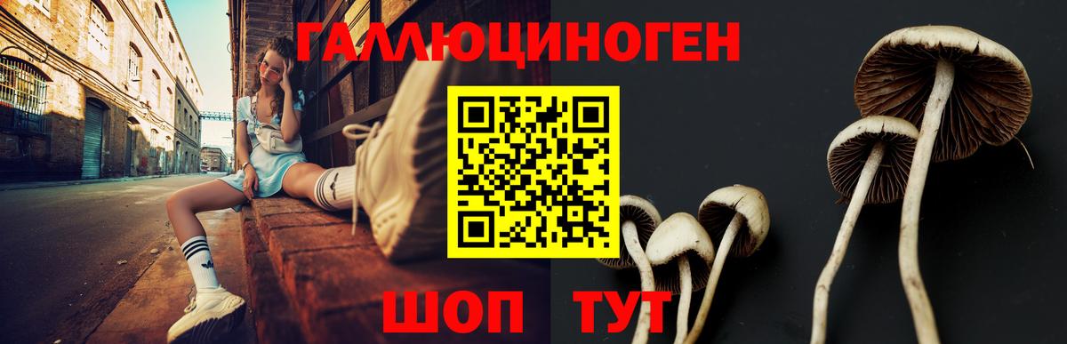Псилоцибиновые грибы мицелий  Вход с VPN  Новый Уренгой 